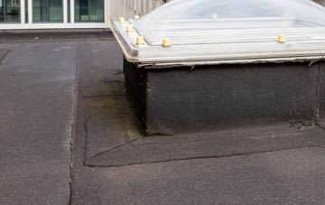 disadvantages of Thorpe Larches flat roofs