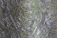 Thorpe Larches fibreglass roof work