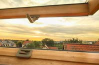 rated Thorpe Larches roof window companies